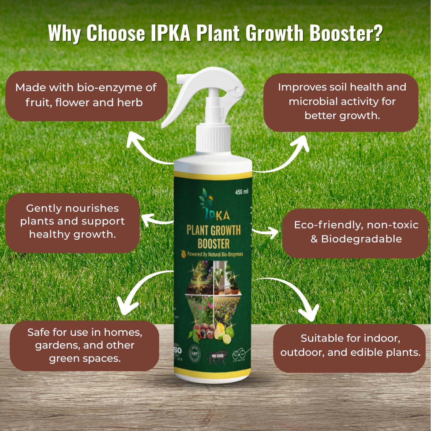 Plant Care